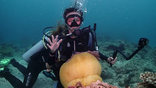 BORACAY ADVENTURES TRAVEL & TOURS INC