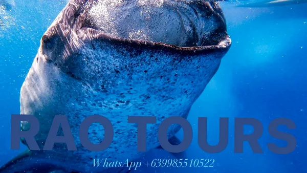 Blu Range Cebu Tours by CyHan Travel & Tours