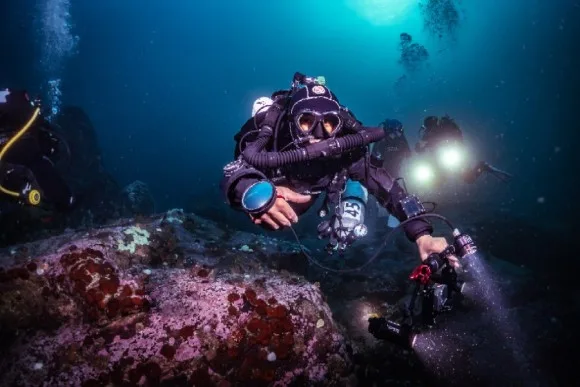 Pax Dive Center