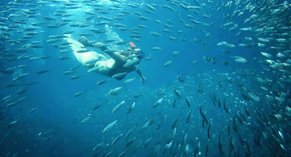 MOALBOAL SNORKELING/SCUBA TRAVEL AND TOURS