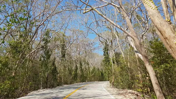 Salagdoong Forest