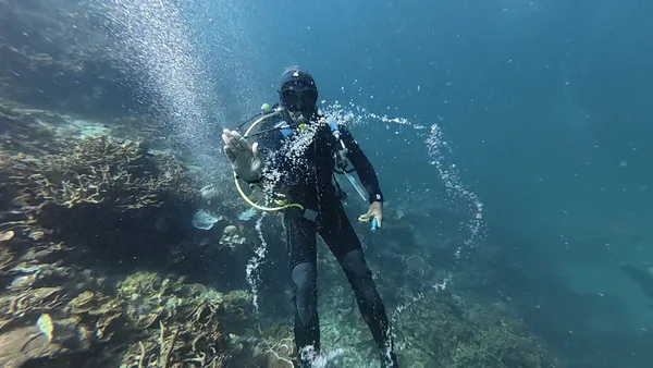 Reggae Dive Center