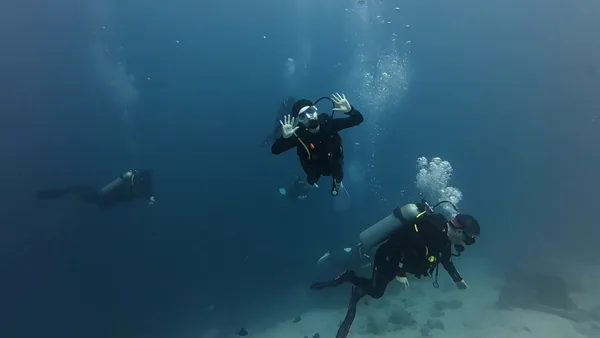 enjoy cebu dive