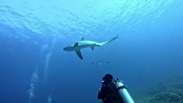 Malapascua Kairos Diver Inc