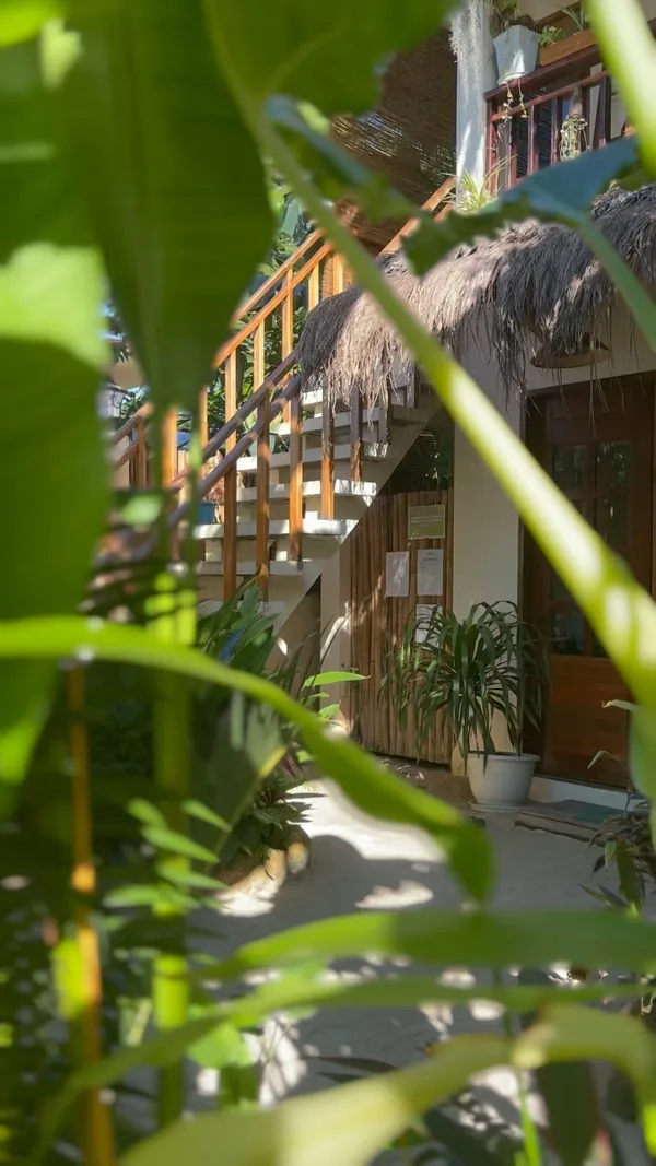 Greenhouse Siargao — 3