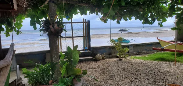 PEDZ CING MANGO LODGE - 2.5 Star