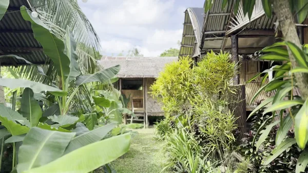 Banana Grove Backpackers Inn