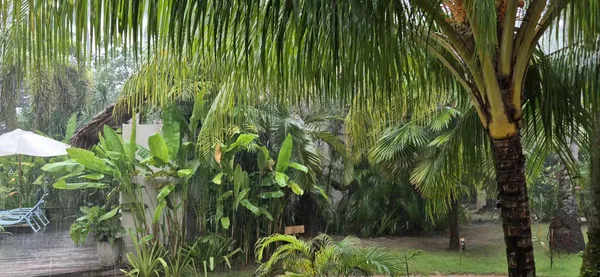 El Nido Mahogany Beach Resort