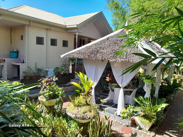Banamboo (Accommodation & Canyoneering)
