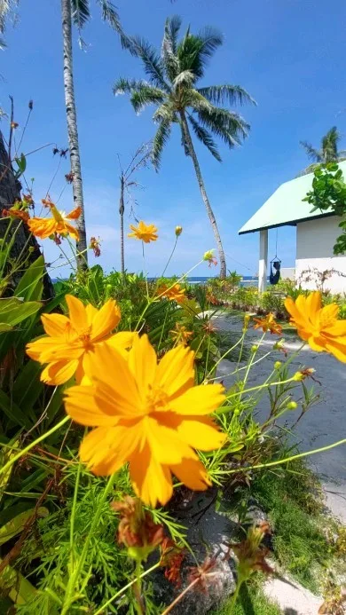 Bamboo Surf Beach Resort — 4