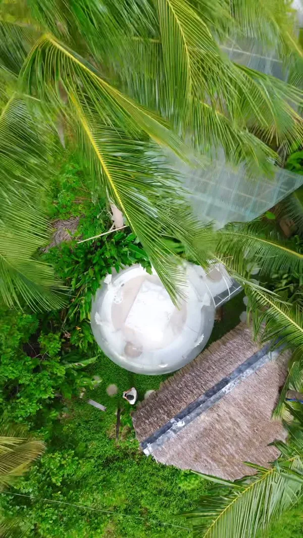 Bubble Siargao — 2