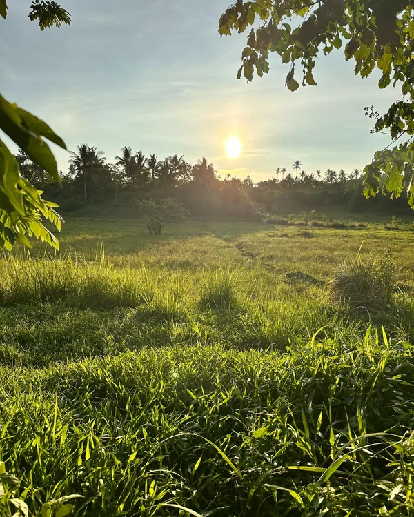 Bubble Siargao — 7