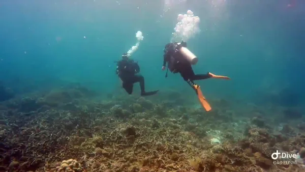 Feelgood Dive Resort