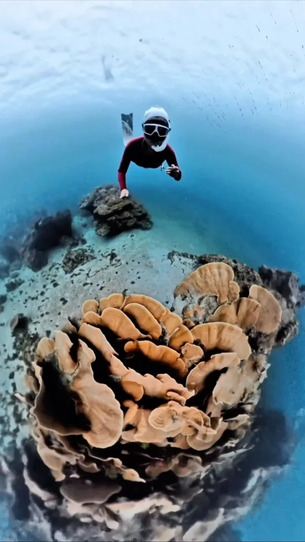 OZEN Freediving Siargao — 5