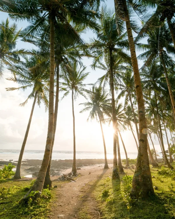 INARA SIARGAO, BEACH RESORT — 2