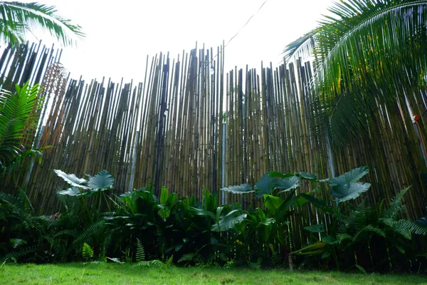 Lubihan Siargao