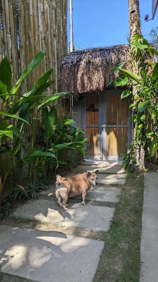Lubihan Siargao — 3