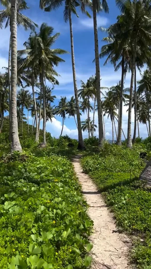 Suyog Life Siargao — 3