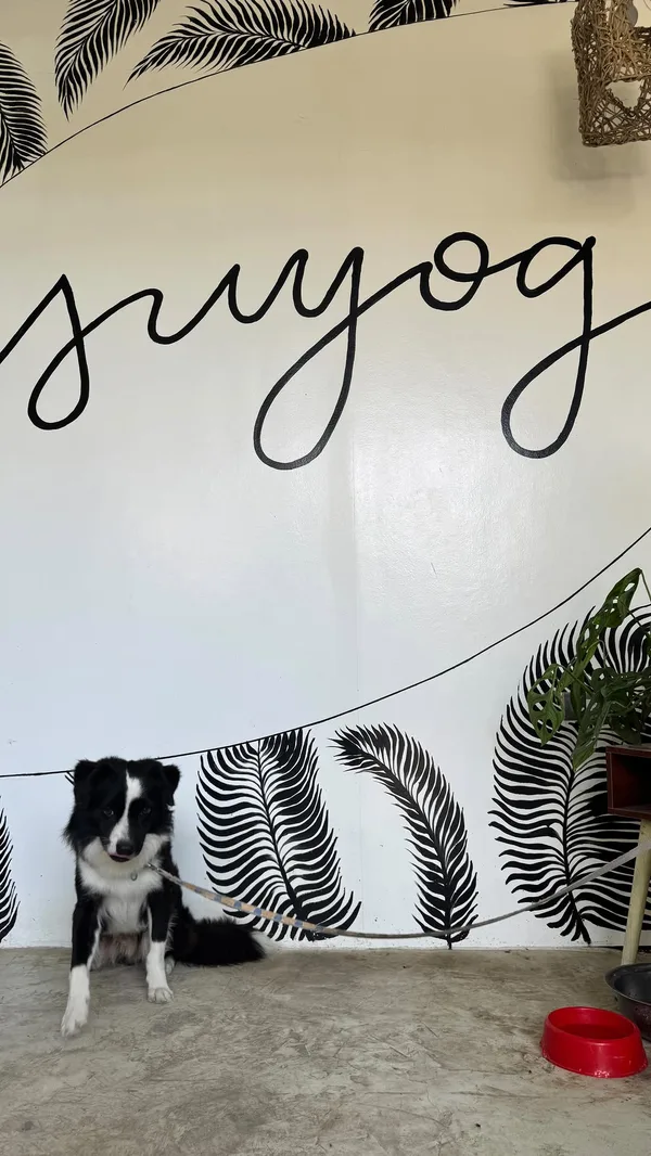 Suyog Life Siargao — 5
