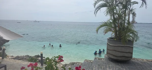 The Reef Island Resort