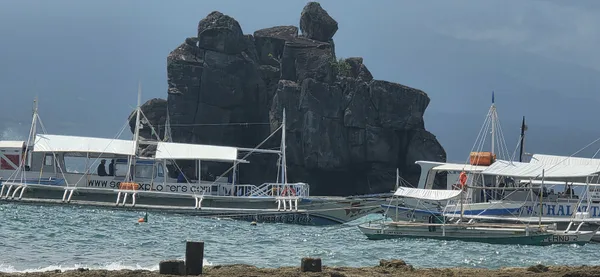 Katipanan Dive Site, Apo Island